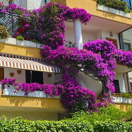 Apartman Maison Tiffany *